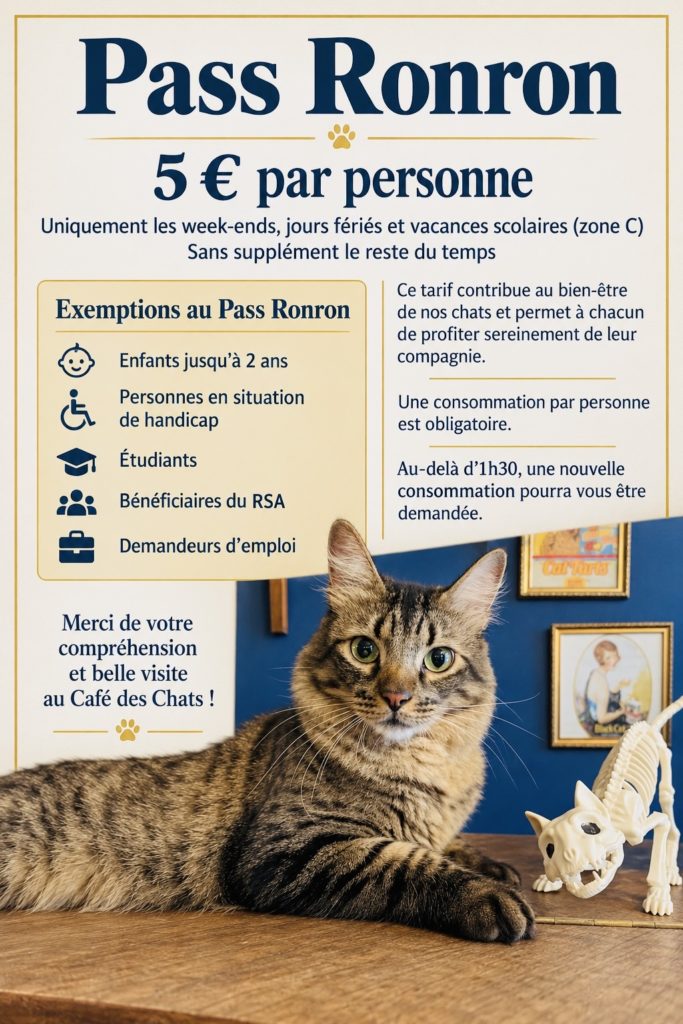Pass ronron 5€ pendant les week-ends, vacances scolaires et jours fériés